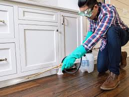 Best Pest Exclusion Services  in Cvallis, OR